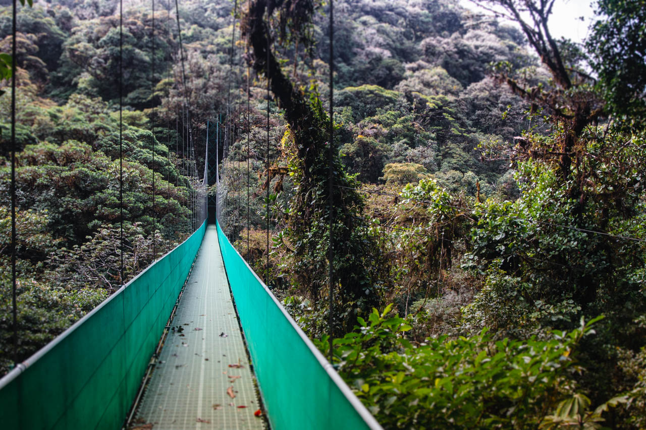 Guide: Monteverde - The Cloud Forest In Costa Rica - MM On The Go