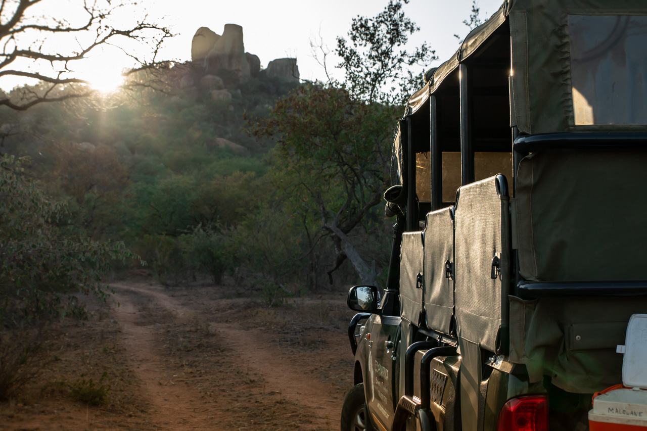 afrika safari sikkerhed